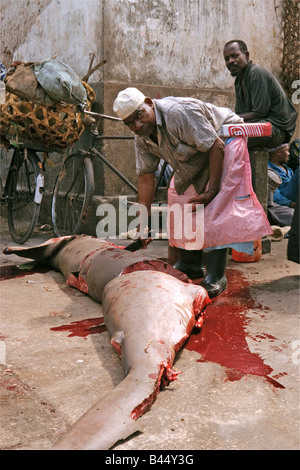 Großen Hammerhai Hai Sphyrna Mokarran geschlachtet auf dem Markt von Stone Town, Sansibar, Tansania Stockfoto