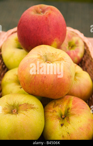 Preisgekrönte bio Obst und Gemüse auf dem Display Stockfoto