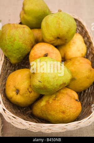 Preisgekrönte bio Obst und Gemüse auf dem Display Stockfoto