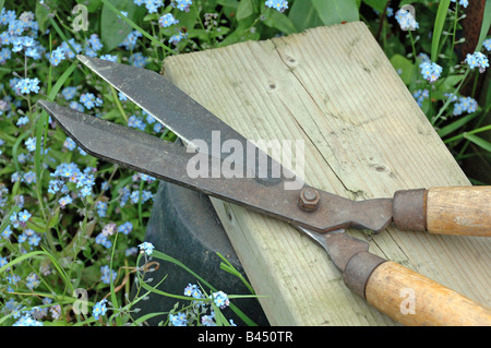 Vintage Gartenschere auf Bank Zuteilung Highbury London UK Stockfoto