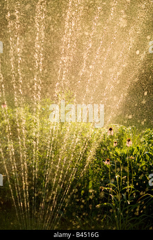 Sprinkler im Garten Blumen gießen Stockfoto