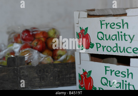 Obstgarten in Lindau Hythe Kent Stockfoto