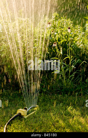 Sprinkler im Garten Blumen gießen Stockfoto