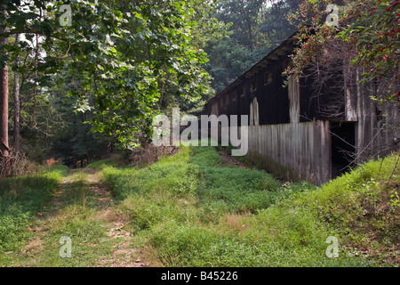 Eine alte Scheune im Wald in West Virginia Stockfoto