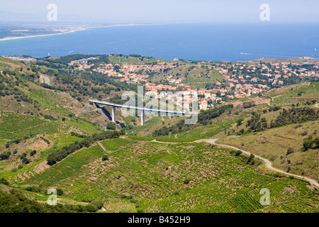Collioure und seine Weinberge im Hinterland des mediterranen Côte Vermeille, Ursprung des Weines von Banyuls und Collioure Stockfoto