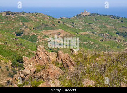 Eine Landschaft in der Nähe von Port-Vendres im Hinterland des mediterranen Côte Vermeille Stockfoto