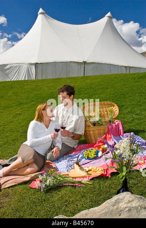 Junges Paar auf Rasen picknicken Stockfoto
