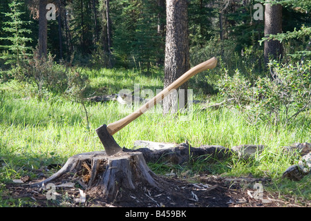 Axt im Baumstumpf - Jasper Nationalpark, Kanadische Rocky Mountains, alberta Stockfoto