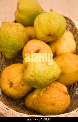 Preisgekrönte bio Obst und Gemüse auf dem Display Stockfoto