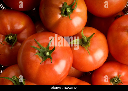 Gruppe von organischen Garten Tomaten Stockfoto