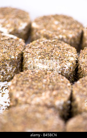 Handgemachter Käse zum Verkauf Bauern Markt Acton W3 London Vereinigtes Königreich Stockfoto