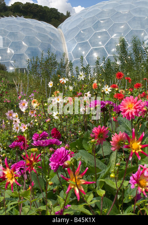 Blumenbeete und Biom in Eden project,st.austell,cornwall,england. Stockfoto