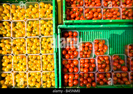 Bauernmarkt W3 London Vereinigtes Königreich Stockfoto