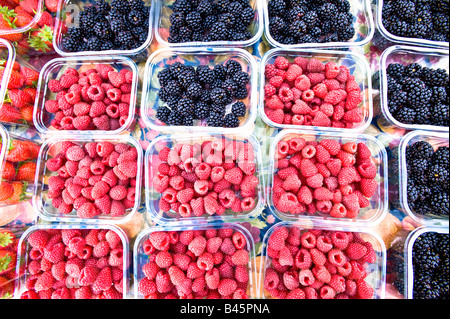 Beeren auf Verkauf Bauern Markt W3 London Vereinigtes Königreich Stockfoto