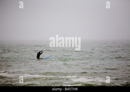 Wellen zum Surfen von Far Rockaway Beach sehr nebligen Tag New York USA Stockfoto