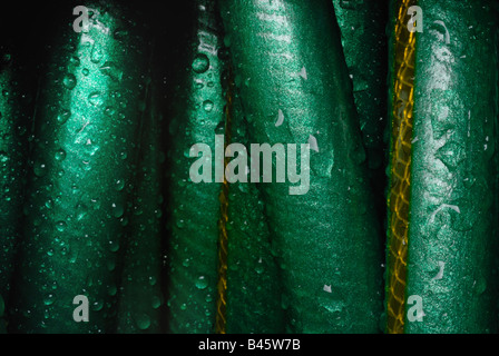 Eine Nahaufnahme von einem hellen grünen Gartenschlauch aufgerollt, feucht mit Wasser Tropfen. Stockfoto