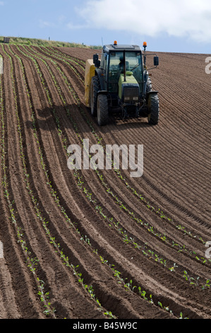 Traktor Aussaat ein brachliegender Acker Stockfoto