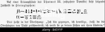 Schreiben, Stripture, alte Welt, Ägypten, Hieroglyphen, Beschriftung aus der Zeit von König Thutmose III (ca. 1479 - 1425 v. Chr., 18. Dynastie), 19. Jahrhundert, Ägypten, ägyptologie, historisch, historisch, alt, Stockfoto