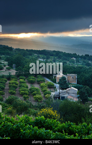 Notre Dame du Salut Chapellle in der Nähe von Murs bei Dämmerung, Vaucluse, Provence, Frankreich Stockfoto