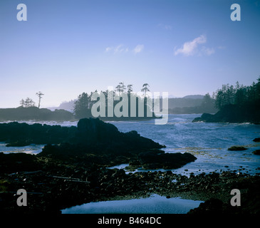 Wo trifft das Pacific Ocean Spray Regenwald in Ucluelet an der Westküste von Vancouver Island, British Columbia, Kanada. Stockfoto