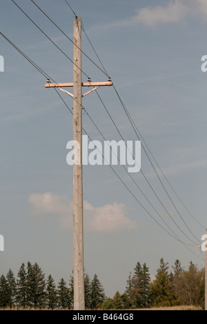 Holzstangen auf ländliche Stromleitungen Verteilung Stockfoto