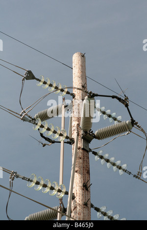 Hochspannung Schnurdimmer auf ländlichen Verteilung elektrischer Linie mit Holzstangen und Glas Isolatoren Stockfoto