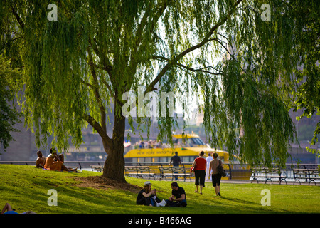 NYC-Wasserfällen ist eine neue Kunst-Installations-Projekt von Public Art Fund und der Stadt New York Projekt begannen dänischen Künstler Stockfoto