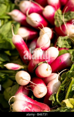 Bauernmarkt W3 London Vereinigtes Königreich Stockfoto