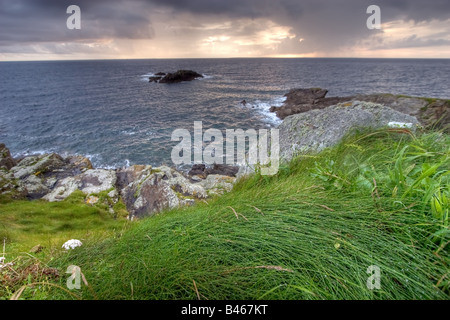 frische Gräser mit Regentropfen und dramatischer Dämmerung Himmel am Meer Bretagne Frankreich Stockfoto