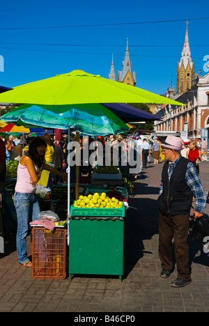 Outdoor-Markt in Liepaja Lettland Europa Stockfoto