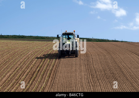 Traktor Aussaat ein brachliegender Acker Stockfoto