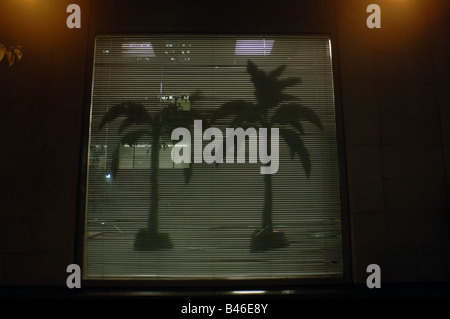 Palm-Baum Schatten in einem Fenster im New Yorker Stadtteil Chelsea auf Donnerstag, 11. September 2008 Frances M Roberts Stockfoto