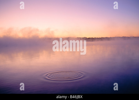 Wellen im See, sechs Meilen See, Muskoka, Ontario, Kanada Stockfoto