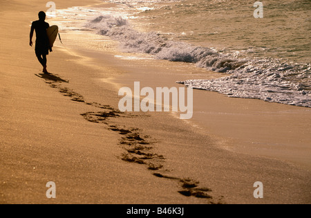 Surfer, North Shore, Oahu, Hawaii, USA Stockfoto