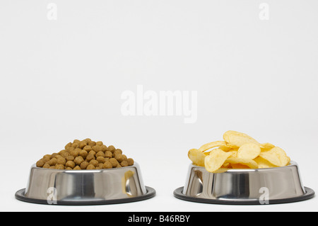 Hundefutter und Kartoffelchips in Hundenäpfe Stockfoto