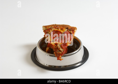 Stück Pizza im Hundenapf Stockfoto