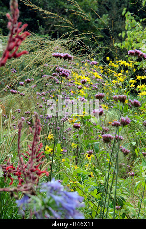 DER STEINGARTEN IN HOLBROOK DEVON ENDE SEPTEMBER Stockfoto