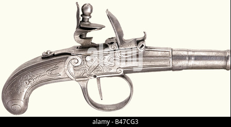 Ein Paar Ganzmetall-Taschenpistolen mit Flügelverschluss, Liège Ende des 18. Jahrhunderts. Geflohene Schraubenfässer mit Nocken im Kaliber 9 mm. Eisenkasten sperren und stoßen mit Gravuren von Blumen und Trophäenbündeln an den Seiten. Länge von je 15,5 cm. Historisch, historisch, 18. Jahrhundert, zivile Handfeuerwaffen, zivile Handfeuerwaffen, Handfeuerwaffen, Handfeuerwaffen, Pistolen, Schusswaffen, Feuerwaffen, Waffen, Waffen, Waffe, Arm, Gegenstand, Objekte, Fotos, Clipping, Clippings, herausschneiden, herausschneiden, herausschneiden, herausschneiden, Stockfoto