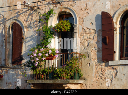 Typische Balkon Pelargonium Blumentöpfe in alte Stadt von Svetvincenat in Istrien Kroatien Stockfoto