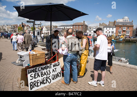 Menschen kaufen frische Linie gefangen Wolfsbarsch aus lokalen Mann in Brauer-Kai in Weymouth, Dorset, England Stockfoto