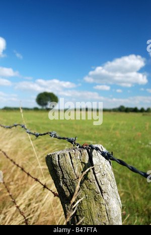 Stacheldrahtzaun auf polnischen Landschaft Stockfoto