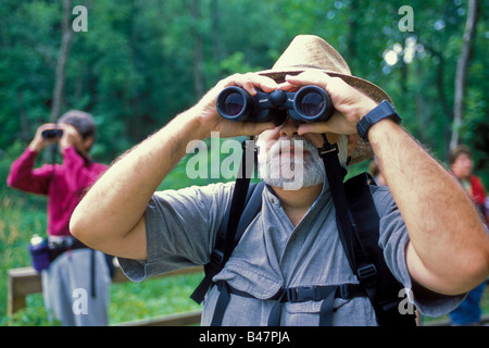 Reifer Mann, Blick durch ein Fernglas für Vögel beobachten Stockfoto