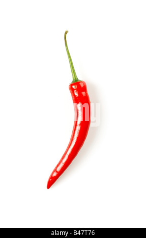 Isolierte Schuss von red hot chili Pepper auf weißem Hintergrund Stockfoto
