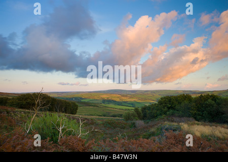 Östlich von Holdstone Hill Exmoor National Park Devon England anzeigen Stockfoto