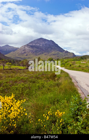 Sgurr Dubh Glen Torridon Wester Ross, Highlands Schottland, Vereinigtes Königreich Großbritannien UK 2008 Stockfoto