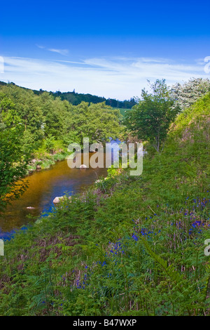 Glen Rosa in der Nähe von Brodick auf der Isle of Arran, Schottland 2008 Stockfoto