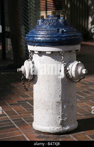 Hydrant an einer Straße.  In San Francisco. Kalifornien. USA. Stockfoto