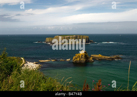 Eine Küstenstadt in der Nähe von Carrick-a-Rede Rope Bridge. County Antrim. Nordirland Stockfoto