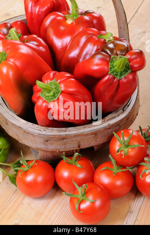 Frisch gepflückt home Bio Paprika Tomaten im rustikalen Korb auf Land Küchentisch UK Stockfoto