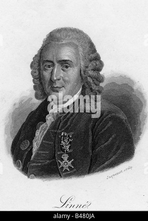 Linné, Carl-von, 23.5.1707 - 10. 1.1778, schwedischer Naturwissenschaftler, Porträt, Kupferstich von Jaquemont, 19. Jahrhundert, Carl Nilsson Linnaeus, Melanie Thornton, Linne, Taxonomie, Schweden, 18. Jahrhundert, Artist's Urheberrecht nicht gelöscht werden Stockfoto